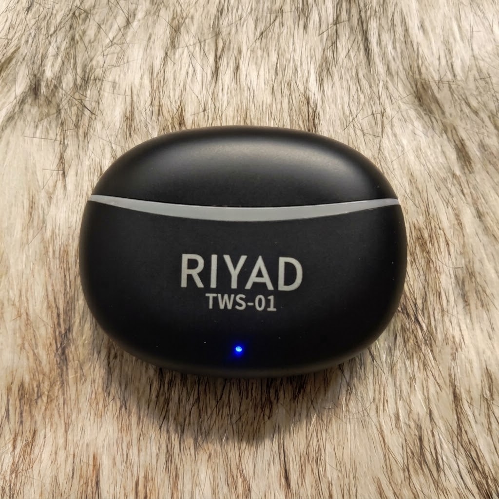 Riyad RD-01 Bluetooth 5.4 TWS Earbuds with 40H Backup & LED Case - Image 3